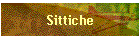 Sittiche