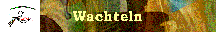 Wachteln