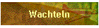 Wachteln